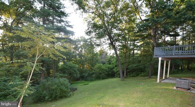 16371 Senedo Rd, Edinburg, VA 22824 - photo 4