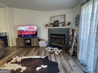 100 Lakeview Dr, Colbert, GA 30628 - photo 3