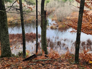 18 White Mountain Hwy, Wakefield, NH 03872 - photo 3