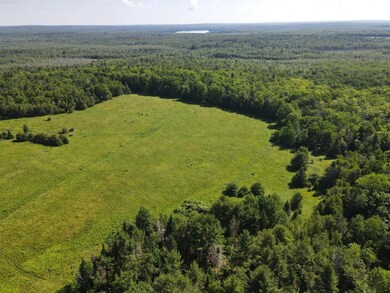 dji_fly_20240613_091638_161_171828461824
