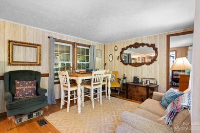 75 Hayes Cove Rd, Leicester, NC 28748 - photo 6
