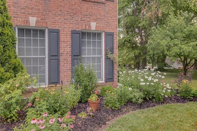 Gorgeous Perennials