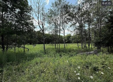 125 Dimmick Mountain Rd, Middletown, NY 12430 - photo 7