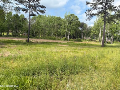 4887 Jackson Raymond Rd, Raymond, MS 39154 - photo 2