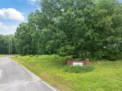 Lot 5 Jason Hollow Rd, Cedar Grove, TN 38321 - photo 4