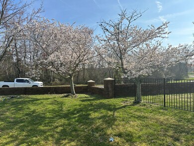 Cheery trees on the lot 