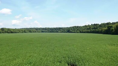 0 Slink Shoals Rd unit 2102638, Linden, TN 37096 - photo 5