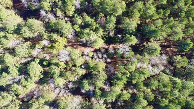 TBD County Road 2921, Hughes Springs, TX 75656 - photo 7