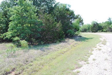 44068 Mountain Sage Dr, Whitney, TX 76692 - photo 4