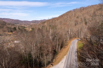 00 Terrys Gap Rd, Fletcher, NC 28732 - photo 2