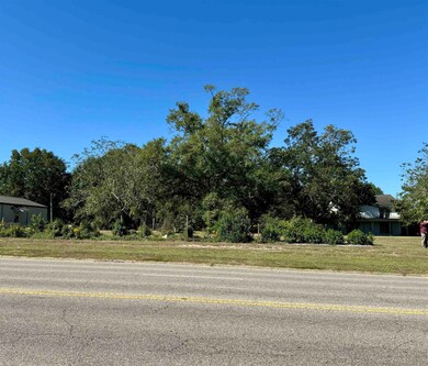 103 W Paulk Ave, Opp, AL 36467 - photo 4