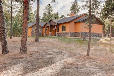 14994 Snowy Pine Point, Colorado Springs, CO 80908 - photo 2