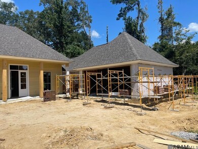 22769 Plank Rd, Zachary, LA 70791 - photo 6