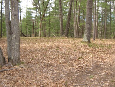 0 Rose St S unit 15022261, Idlewild, MI 49642 - photo 5