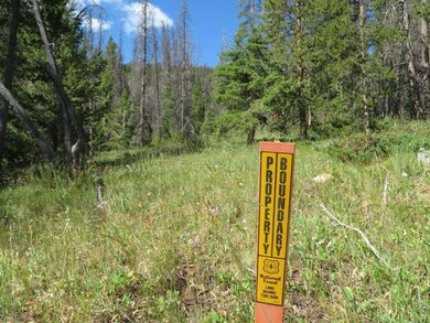 Blue Belle Quartz Hill Rd, Wise River, MT 59762 - photo 2