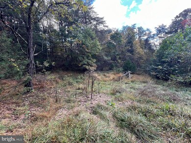Lot 6 Deep Run Hollow, Delray, WV 26801 - photo 6