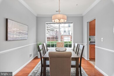 6150 Shadywood Rd unit 106, Elkridge, MD 21075 - photo 7