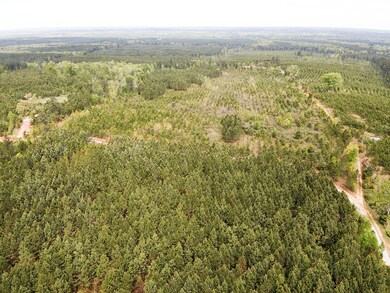 35acre Broad Rd 5