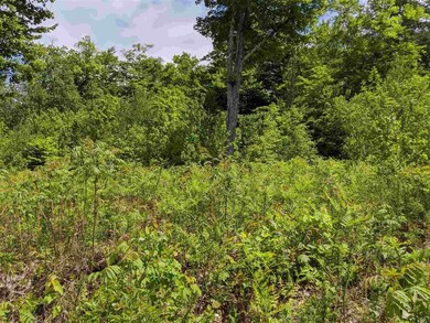 lot 10 Chaddarin Ln unit 10, Plymouth, NH 03264 - photo 7