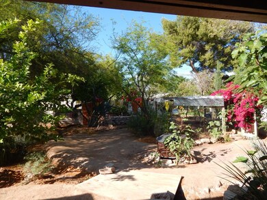 Back Yard Irrigated