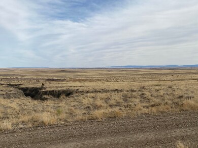 IMG-8979