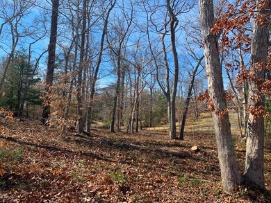 Baylis Woods Tashmoo Ave, Tisbury, MA 02568 - photo 3