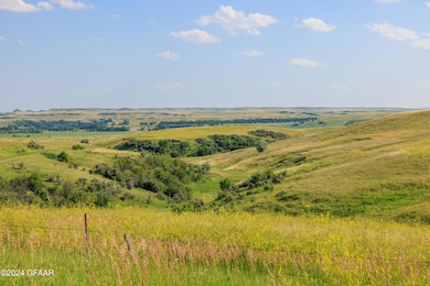 Tbd 60th Ave SW, Leith, ND 58529 - photo 2