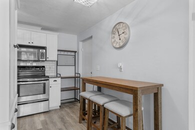 221 Minot St unit 1, Dorchester Center, MA 02124 - photo 7