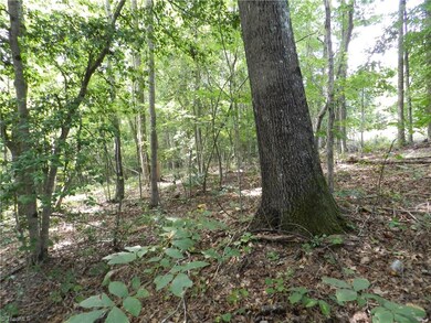 0 Burney Rd unit 811880, Asheboro, NC 27205 - photo 3