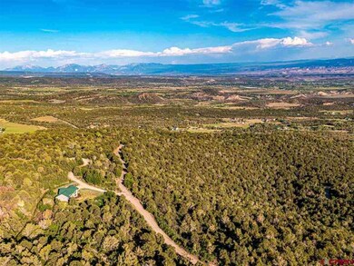 20101 Squirrel Rock Rd, Cedaredge, CO 81413 - photo 2