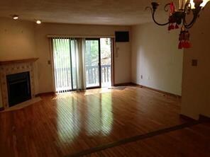 Living Room. Fireplace