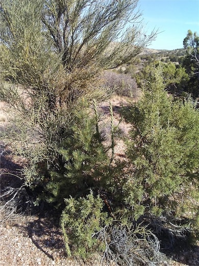 0 E Austin Loop unit 33347, Kingman, AZ 86401 - photo 2