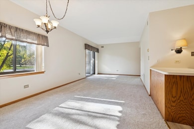 3119 Ingalls Ave unit 2A, Joliet, IL 60435 - photo 3