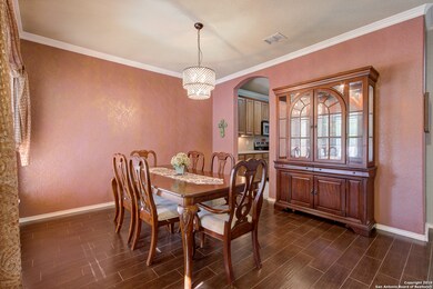 10811 Bramante Ln, Helotes, TX 78023 - photo 4