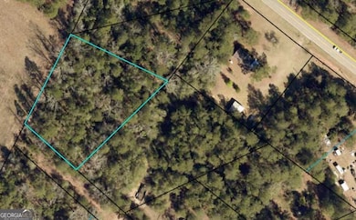 0 Wayne St unit 10654653, Louisville, GA 30434 - photo 3