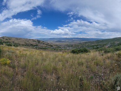 Another view from the top of the property looking down at the mountain's and tree's