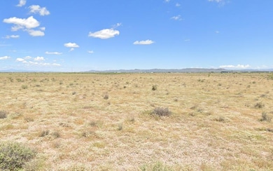 Platino Rd SE, Deming, NM 88030 - photo 4