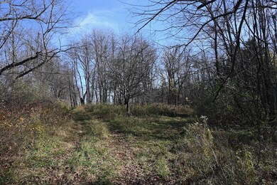 55824 County Line Rd, New Carlisle, IN 46552 - photo 3