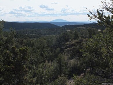 0 Santana Rd, Blanca, CO 81133 - photo 5