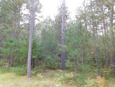 Lot 26 McCarthy Lake Rd, Tomahawk, WI 54487 - photo 7