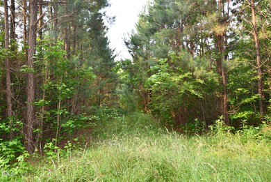 424 Warren Ext St, Warrenton, NC 27589 - photo 5