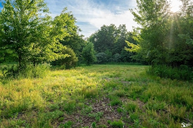 Parcel B Timbers Rd, Exeter Township, MI 48117 - photo 2