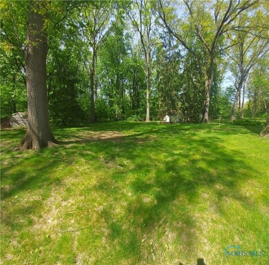Rear yard view