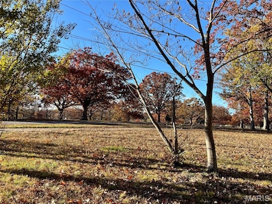 995 Lake Rd, Sullivan, MO 63080 - photo 5