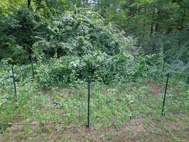 288 Salmon Falls Rd, Rochester, NH 03868 - photo 2