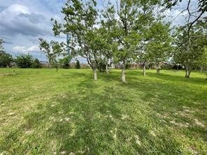 TBD Burton Cemetery Rd, Waller, TX 77484 - photo 3