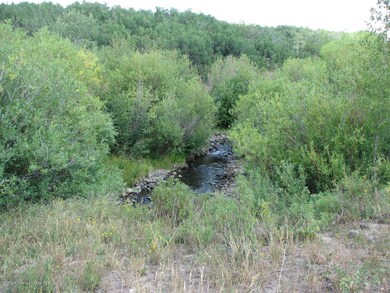 Lot 239 (3)