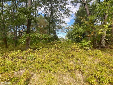 00 Port Austin Rd, Caseville, MI 48725 - photo 5