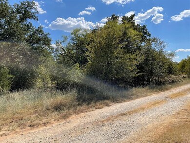 00 Grandview Dr, Lake Brownwood, TX 76801 - photo 4