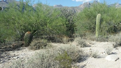 GREAT FOOTHILLS LOT!